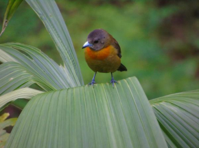 Rio Agujitas Eco Farm over Night